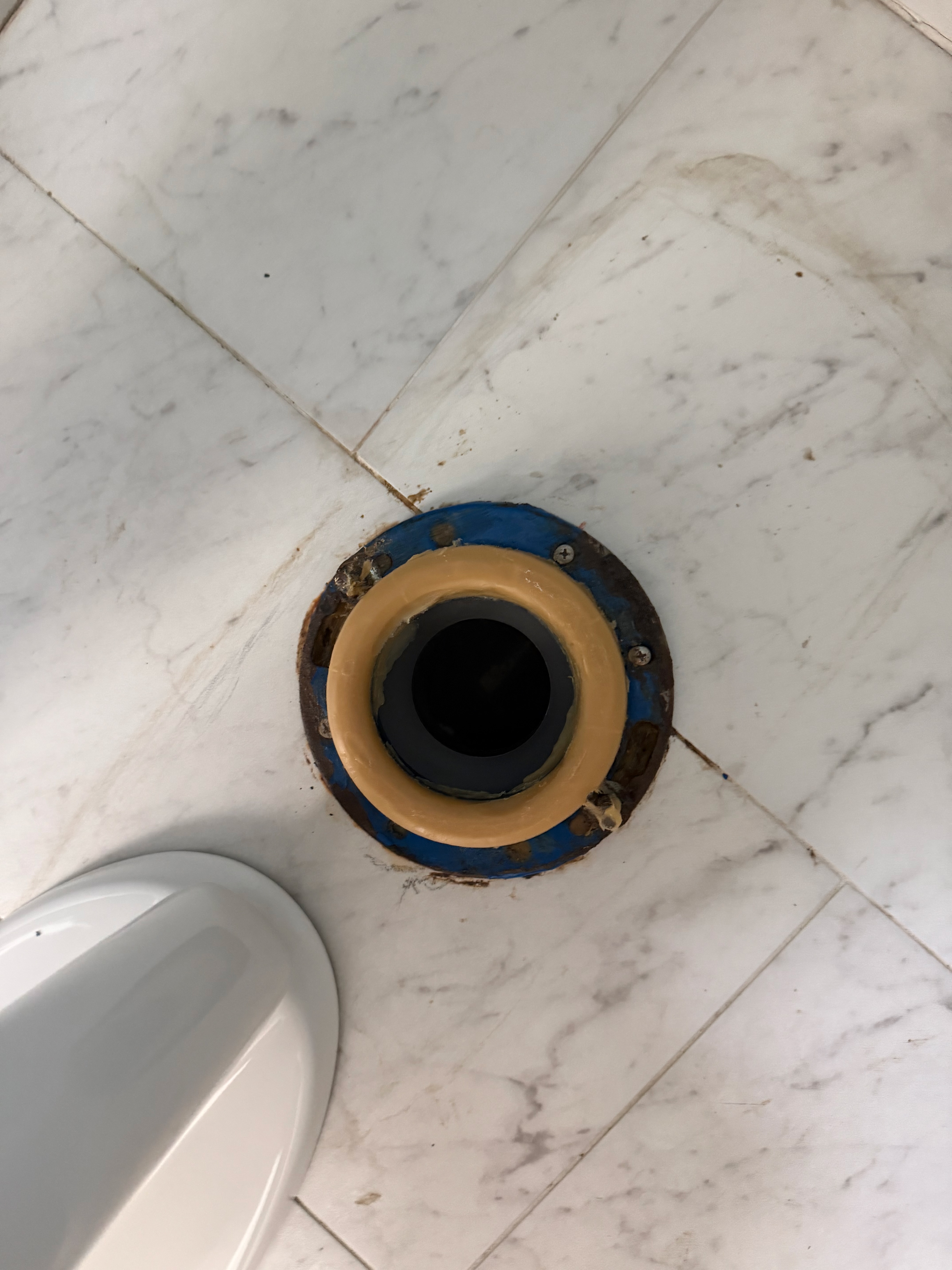 New wax ring properly set on flange